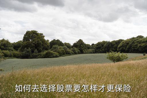 如何去选择股票要怎样才更保险