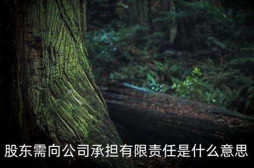 股票里的担是什么意思，股东需向公司承担有限责任是什么意思