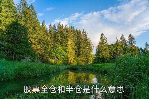 股票全仓和半仓是什么意思