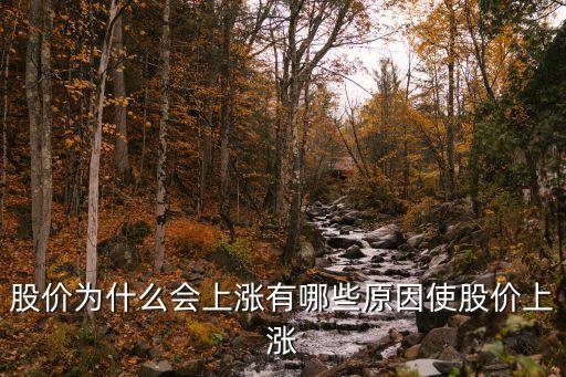 股价为什么会上涨有哪些原因使股价上涨