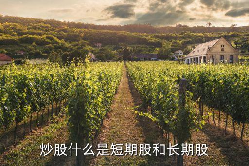 时间长的股票叫什么，有什么股票可以长期持有