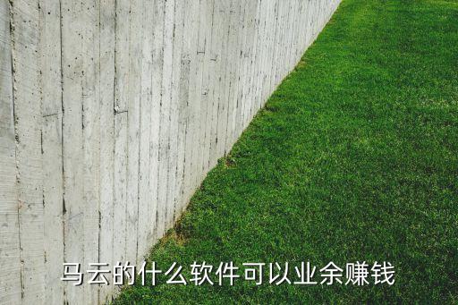 马云用什么软件买股票赚钱，马云的什么软件可以业余赚钱