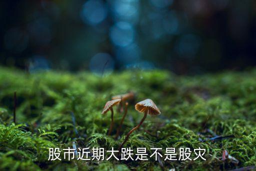 股市近期大跌是不是股灾