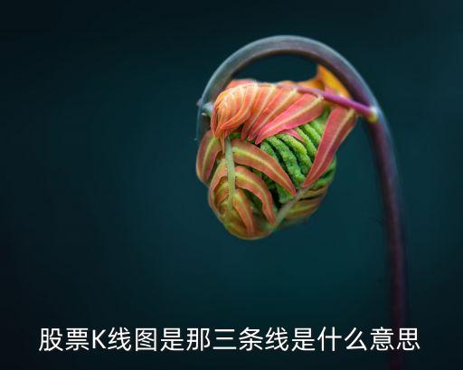 股票K线图是那三条线是什么意思