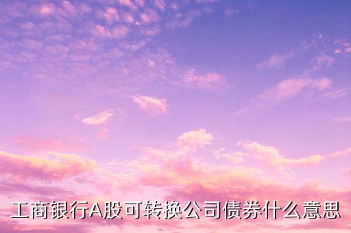 工商银行A股可转换公司债券什么意思