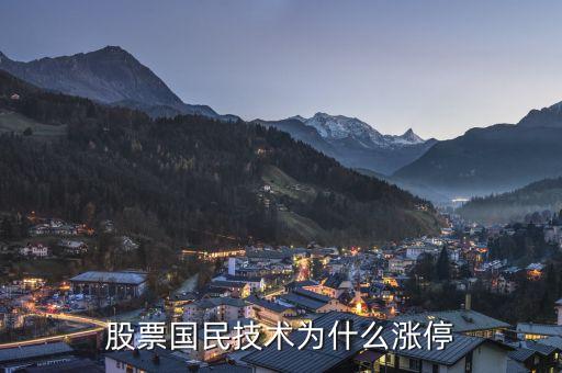 芯片股票为什么一直涨停，股票国民技术为什么涨停