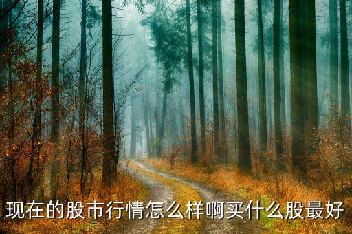 现在的股市行情怎么样啊买什么股最好
