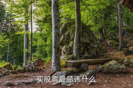 股票买入后最忌讳什么交易，买股票最忌讳什么