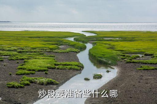 炒股要准备些什么哪