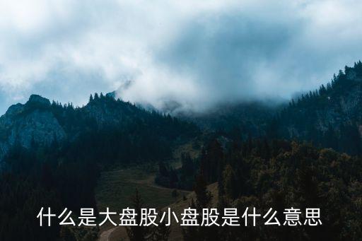 盘子大的股票什么意思呀，什么叫盘面比较大的股票
