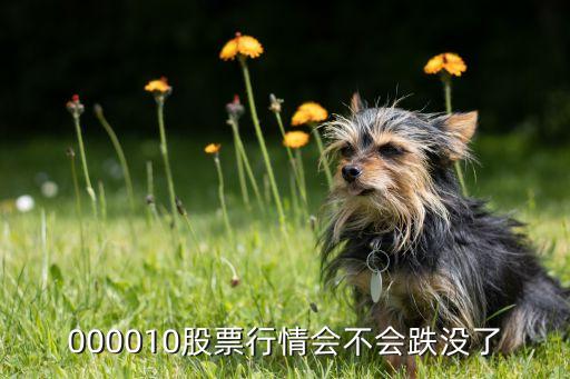 000010股票行情会不会跌没了