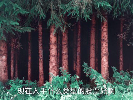 现在入手什么类型的股票好啊