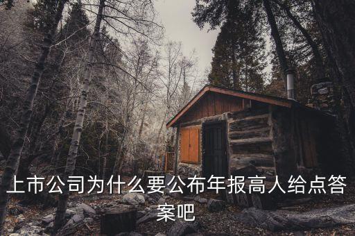 上市公司为什么要公布年报高人给点答案吧