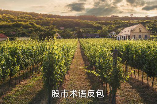 股市术语反包