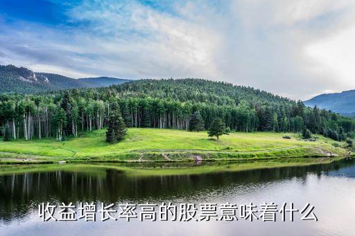 收益增长率高的股票意味着什么
