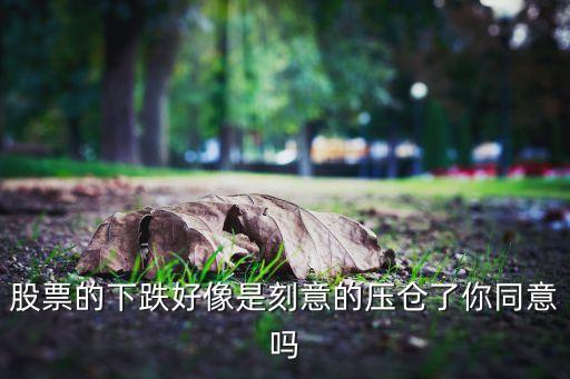 股票的下跌好像是刻意的压仓了你同意吗