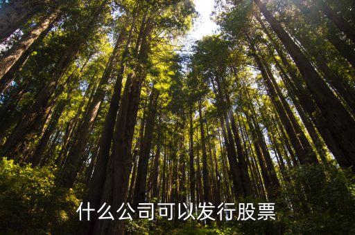 什么企业才能发行股票投资，什么样的公司才能上市才能发行股票