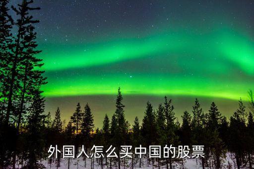 外国人怎么买中国的股票