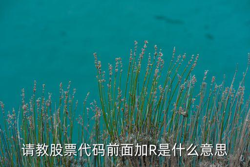 请教股票代码前面加R是什么意思