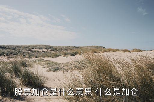 为什么有的股票要加仓，请问股票中为什么加仓起到什么作用呢