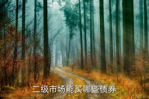二级市场能买哪些债券