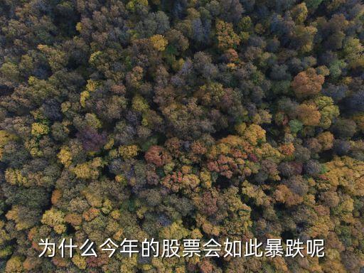 为什么现在股票会降价呢，股票为什么会下跌