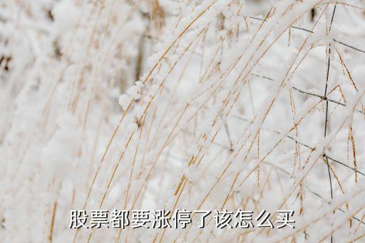 股票都要涨停了该怎么买