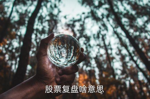 股票复盘啥意思