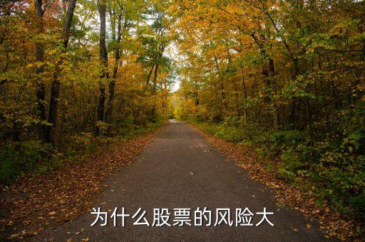 为什么股票的风险大