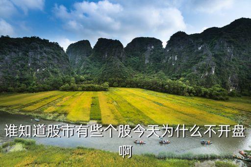 谁知道股市有些个股今天为什么不开盘啊