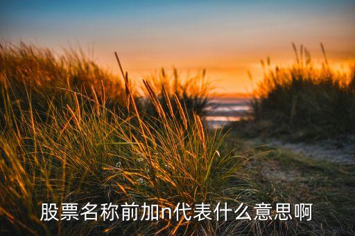 电信股票前加n什么意思，股票前面带N表示什么