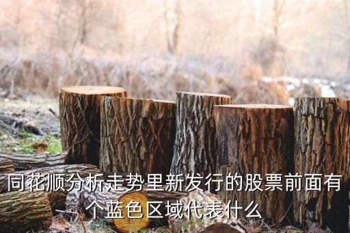 新发型的股票有什么标识，什么叫新债发行的股票