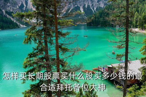 怎样买长期股票买什么股买多少钱的最合适拜托各位大神