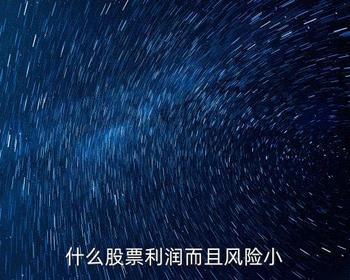 什么股票利润而且风险小
