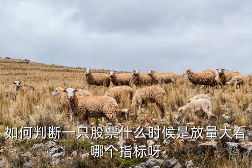 如何判断一只股票什么时候是放量大看哪个指标呀