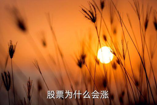 股票为什么会涨
