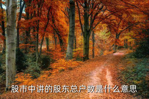 股市中讲的股东总户数是什么意思