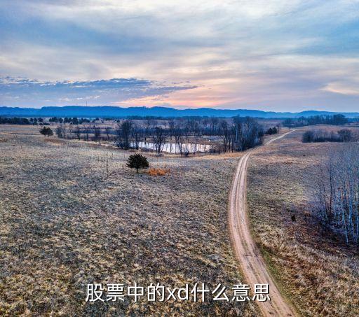 股票中的xd什么意思