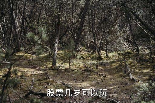 什么样的年龄适合投资股票，股票几岁可以玩