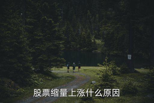 股票缩量上涨什么原因