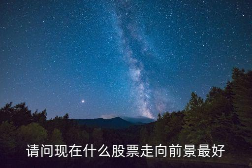 请问现在什么股票走向前景最好