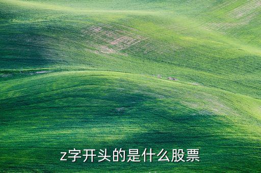 z字开头的是什么股票
