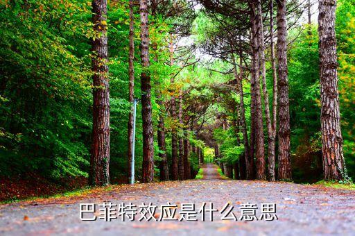 巴菲特效应是什么意思