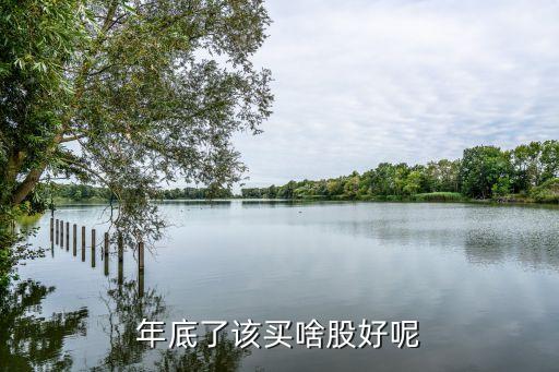 年底了该买啥股好呢