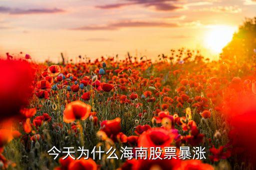 5g板块股票为什么大涨，海南版块的股票为什么暴涨