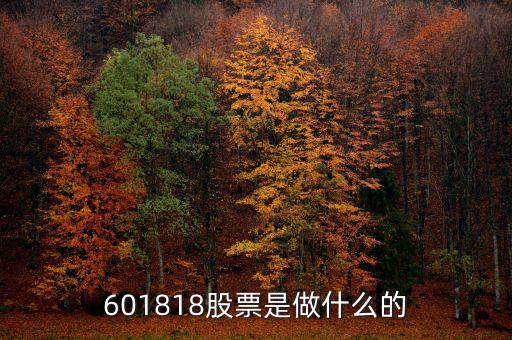 601818股票是做什么的