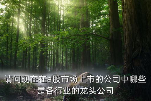 什么是上市股票的龙头股，请问现在在a股市场上市的公司中哪些是各行业的龙头公司