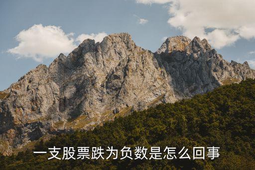 一支股票跌为负数是怎么回事