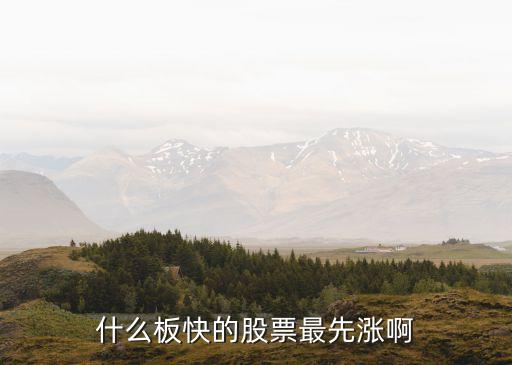 什么板快的股票最先涨啊