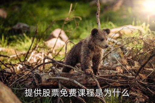 提供股票免费课程是为什么